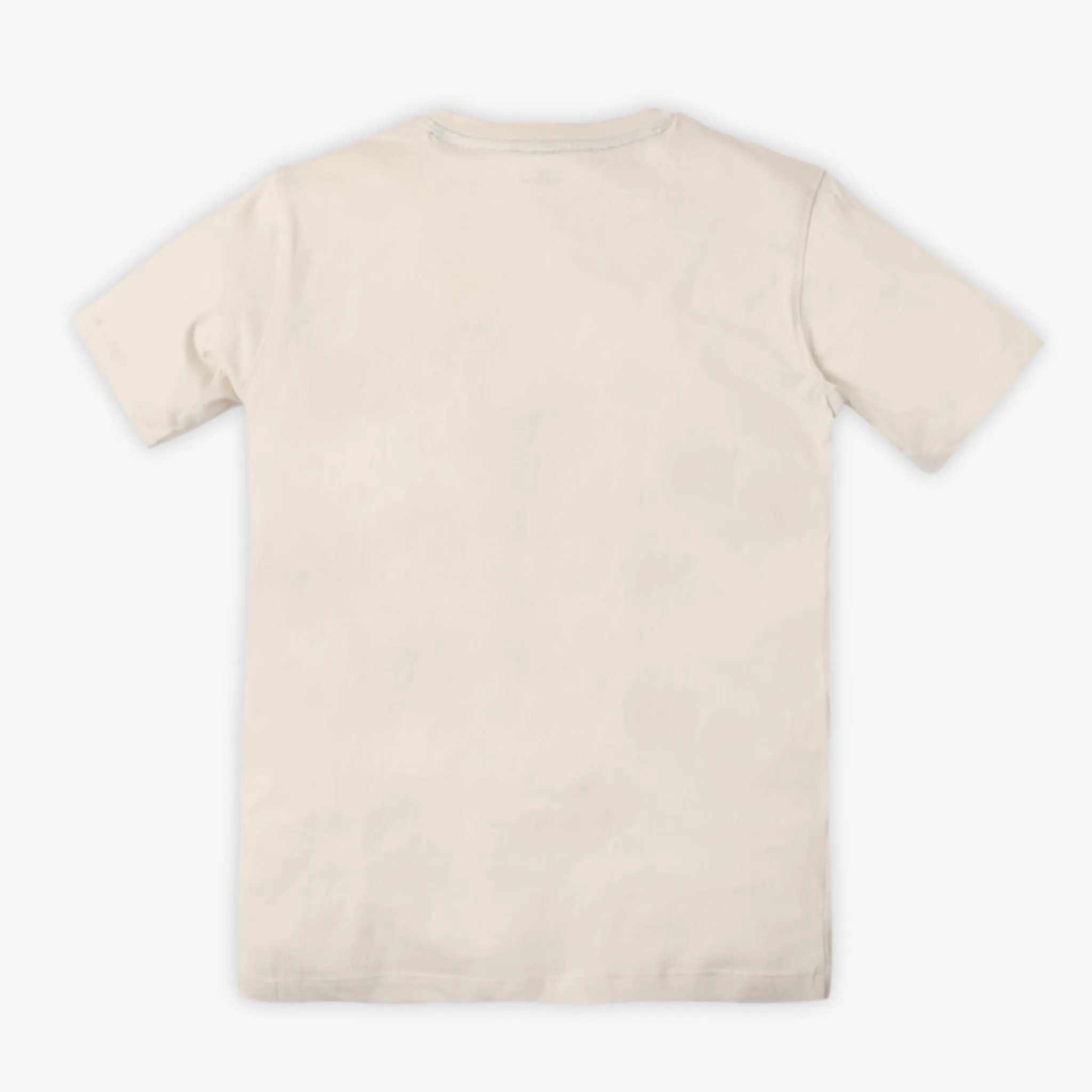 Boy's Regular Fit Graphic T-Shirt