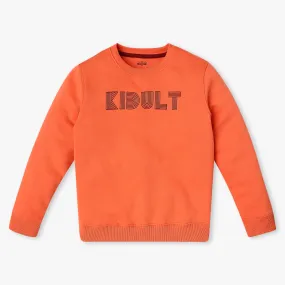 Boy's Regular Fit Printed Sweat Tees