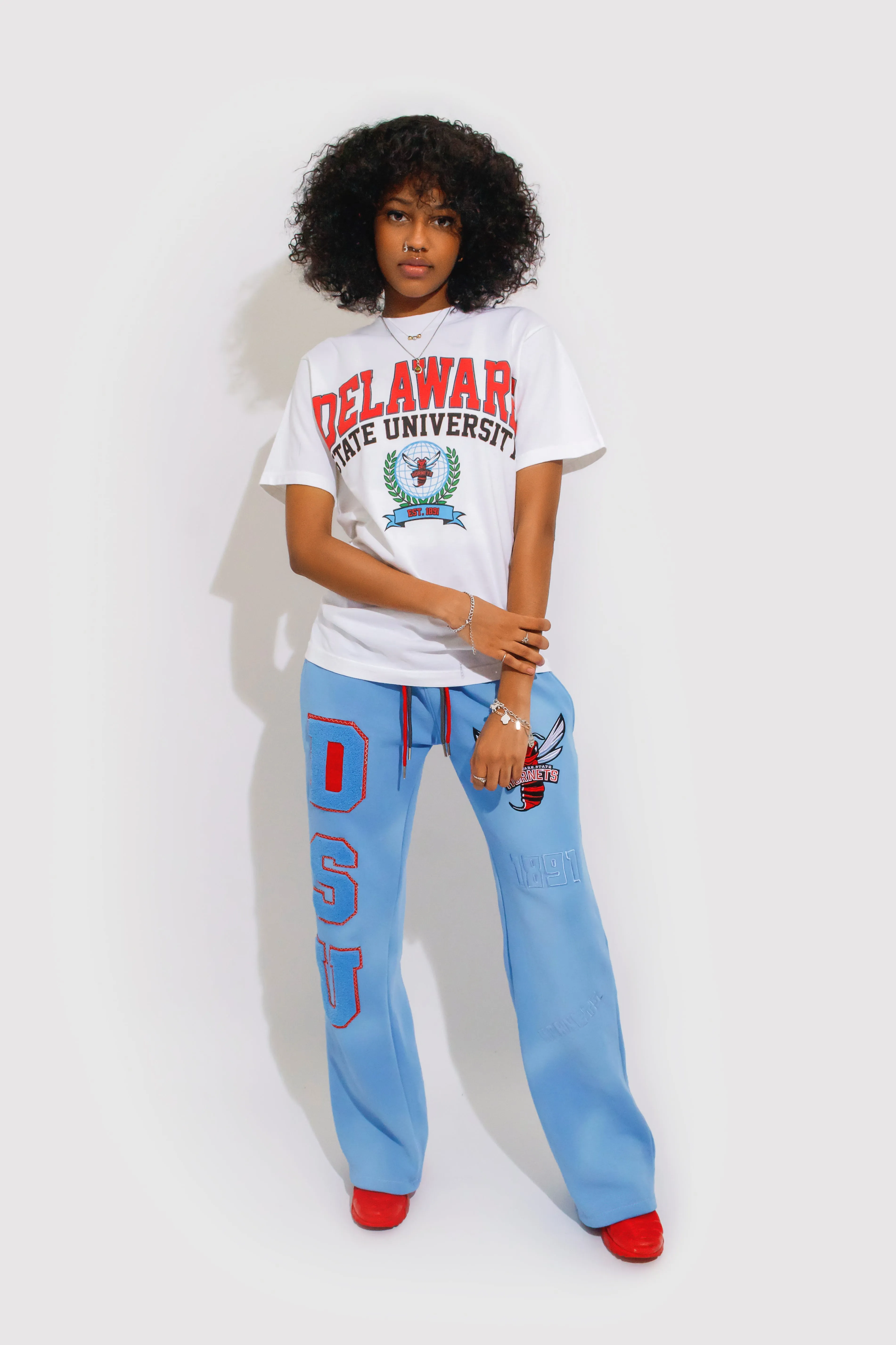 Delaware State Sweatpants